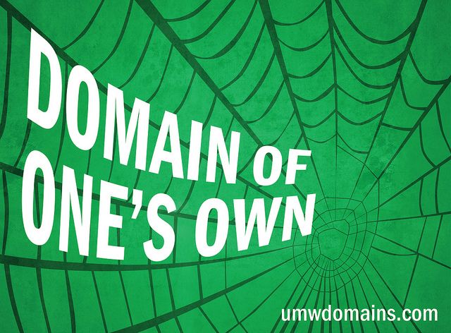 Image of a spider web with Domain of One's own written along web lines